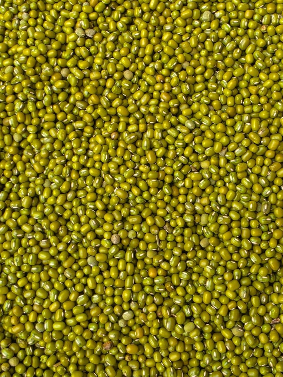Green Mung Masho