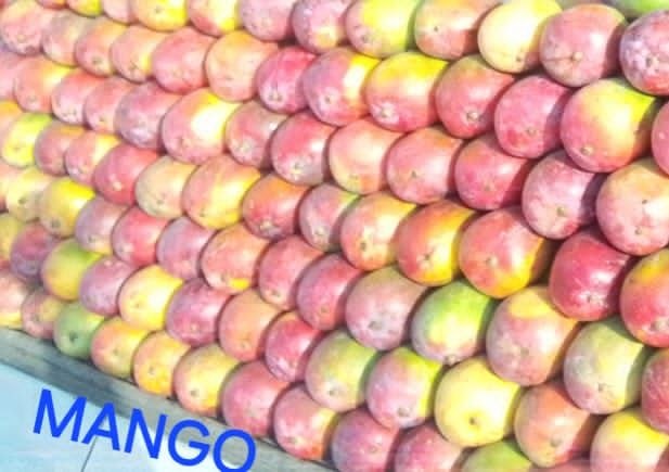 Mango