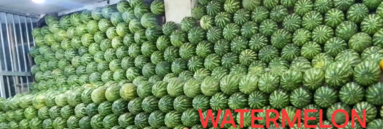 Watermelon
